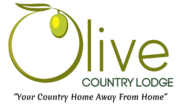 cropped cropped olive logo copy 1.png